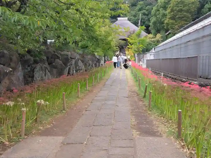 横浜 西方寺(神奈川県)