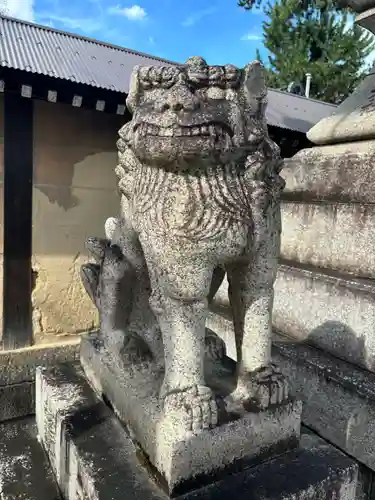 下御霊神社の狛犬