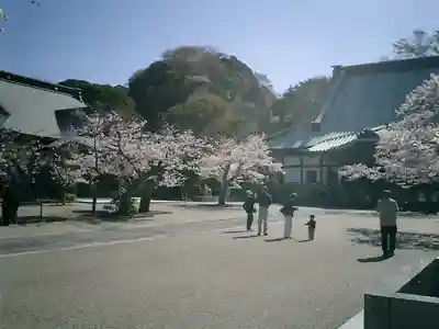 光明寺のその他建物