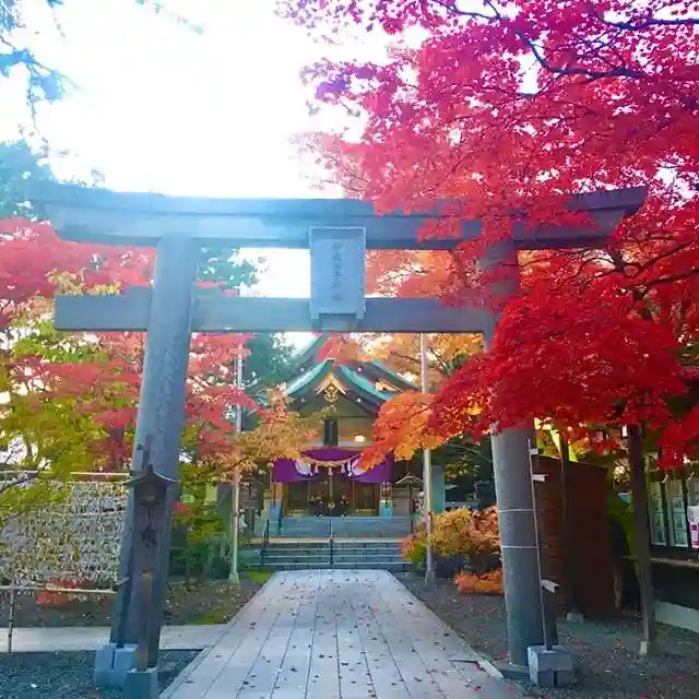 彌彦神社 (伊夜日子神社)の鳥居
