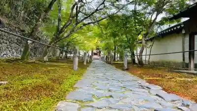 酬恩庵一休寺(京都府)