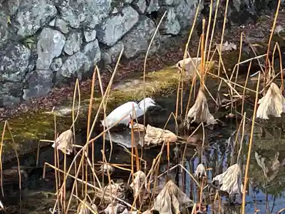 天龍寺(京都府)