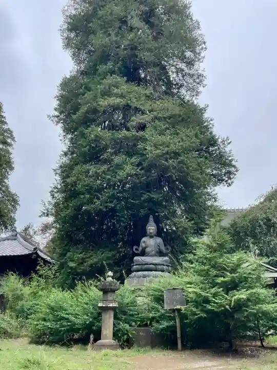 茂林寺の仏像