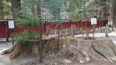 日光二荒山神社(栃木県)