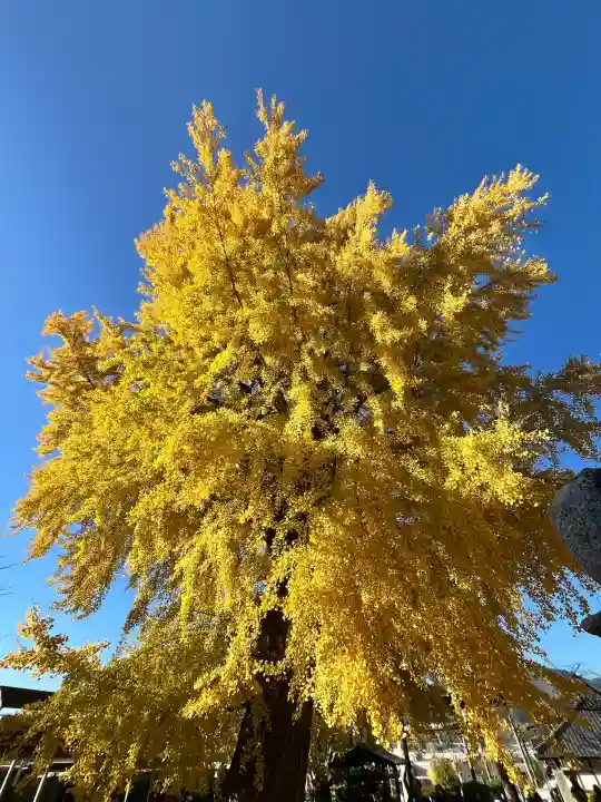 丹生酒殿神社(和歌山県)