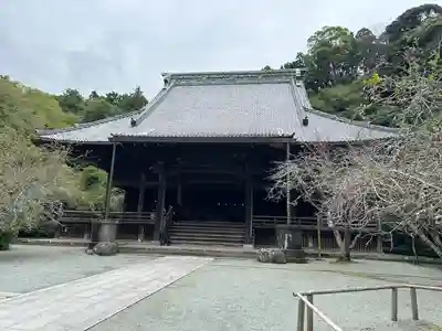 妙本寺(神奈川県)