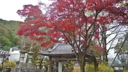 松尾大社の山門