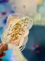 札幌諏訪神社の御朱印