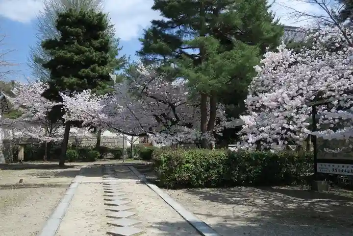 萬福寺(京都府)