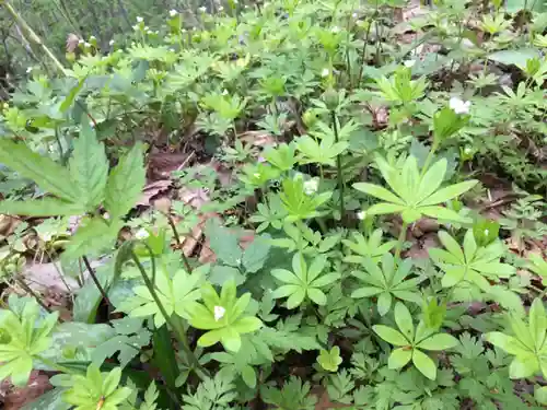 浦臼神社(北海道)