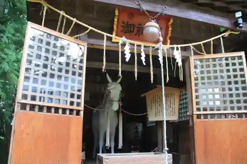 三春大神宮の建物その他