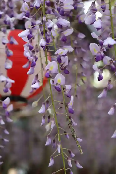惣社神社(滋賀県)