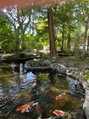 伊豆山神社(静岡県)