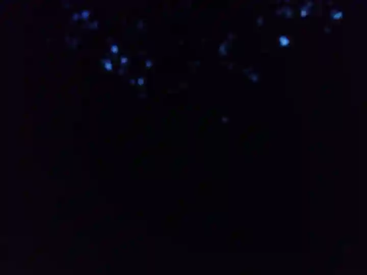 宗像大社(福岡県)