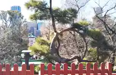 清水観音堂の庭園