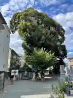 長谷寺(愛知県)