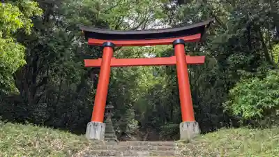 護皇神社の鳥居