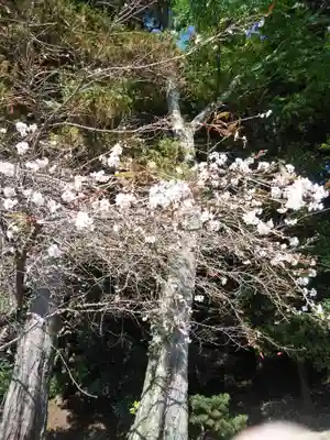 鹿島大神宮(福島県)