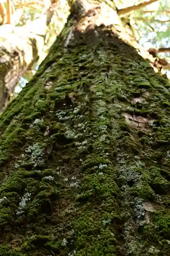 河内神社(高知県)