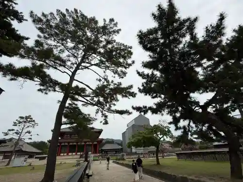 興福寺の{uncategorized: "未分類", other: "その他", undefined: "問題あり", building: "その他建物", grave: "お墓", sacred_gate: "鳥居", guardian: "狛犬", statue: "像", buddha: "仏像", history: "歴史", nature: "自然", garden: "庭園", animal: "動物", pagoda: "塔", temizu: "手水舎", mountain_gate: "山門・神門", sanctuary: "本殿・本堂", subordinate: "末社・摂社", art: "芸術", scenery: "景色", jizo: "地蔵", ema: "絵馬", goshuin: "御朱印", omikuji: "おみくじ", items: "授与品その他", amulet: "お守り", goshuincho: "御朱印帳", eats: "食事", festival: "お祭り", votive_dance: "神楽", shichigosan: "七五三参", wedding: "結婚式", experience: "体験その他", initially: "初詣", around: "周辺", anti_infection: "感染症対策"}