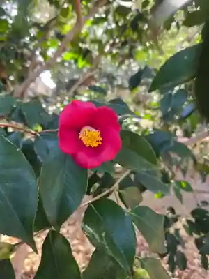 沙沙貴神社(滋賀県)