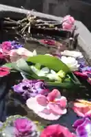 元町厳島神社(神奈川県)