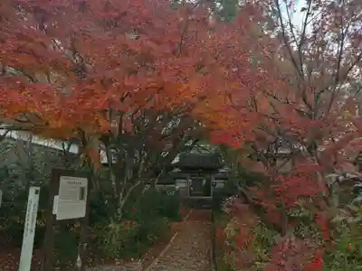 円興寺のその他建物