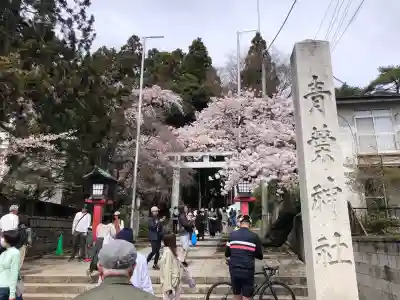 青葉神社の{uncategorized: "未分類", other: "その他", undefined: "問題あり", building: "その他建物", grave: "お墓", sacred_gate: "鳥居", guardian: "狛犬", statue: "像", buddha: "仏像", history: "歴史", nature: "自然", garden: "庭園", animal: "動物", pagoda: "塔", temizu: "手水舎", mountain_gate: "山門・神門", sanctuary: "本殿・本堂", subordinate: "末社・摂社", art: "芸術", scenery: "景色", jizo: "地蔵", ema: "絵馬", goshuin: "御朱印", omikuji: "おみくじ", items: "授与品その他", amulet: "お守り", goshuincho: "御朱印帳", eats: "食事", festival: "お祭り", votive_dance: "神楽", shichigosan: "七五三参", wedding: "結婚式", experience: "体験その他", initially: "初詣", around: "周辺", anti_infection: "感染症対策"}