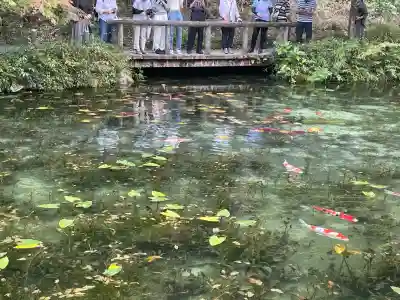 根道神社の{uncategorized: "未分類", other: "その他", undefined: "問題あり", building: "その他建物", grave: "お墓", sacred_gate: "鳥居", guardian: "狛犬", statue: "像", buddha: "仏像", history: "歴史", nature: "自然", garden: "庭園", animal: "動物", pagoda: "塔", temizu: "手水舎", mountain_gate: "山門・神門", sanctuary: "本殿・本堂", subordinate: "末社・摂社", art: "芸術", scenery: "景色", jizo: "地蔵", ema: "絵馬", goshuin: "御朱印", omikuji: "おみくじ", items: "授与品その他", amulet: "お守り", goshuincho: "御朱印帳", eats: "食事", festival: "お祭り", votive_dance: "神楽", shichigosan: "七五三参", wedding: "結婚式", experience: "体験その他", initially: "初詣", around: "周辺", anti_infection: "感染症対策"}