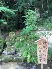 猿投神社の庭園