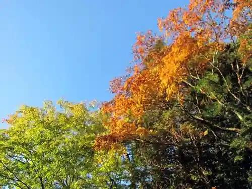 日光二荒山神社中宮祠の自然