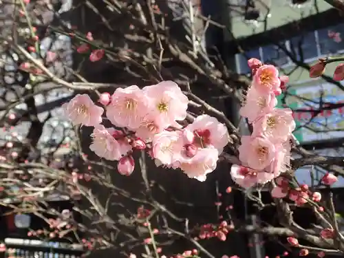 とげぬき地蔵尊 高岩寺の御朱印