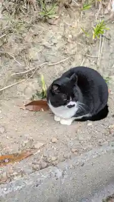 荒木神社(京都府)