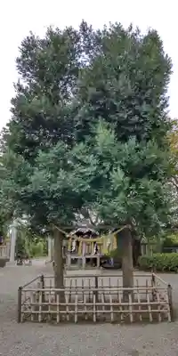 菅谷神社の自然