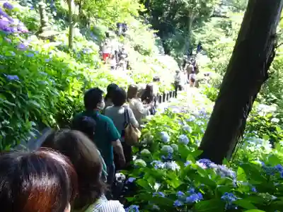 長谷寺のその他建物