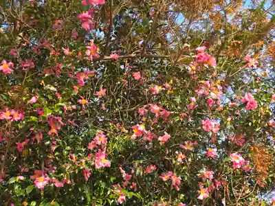 重利八幡宮(京都府)