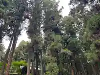 大宮温泉神社(栃木県)