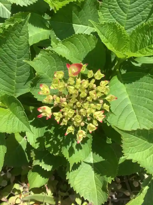 三輪神社の自然