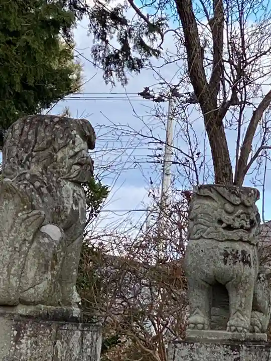 諏訪神社の狛犬