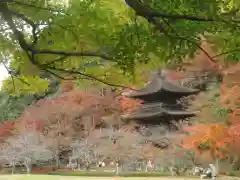 金剛院(京都府)