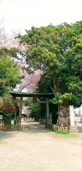 畑子安神社の鳥居