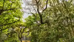 華厳寺（鈴虫寺）(京都府)