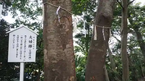 検見川神社の自然