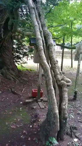 伊佐須美神社の自然