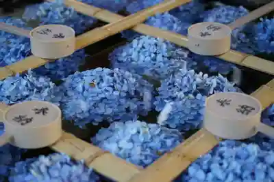 土津神社|こどもと出世の神さまの手水舎