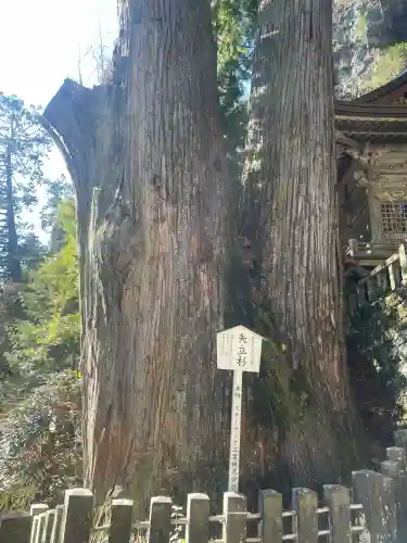 榛名神社の{uncategorized: "未分類", other: "その他", undefined: "問題あり", building: "その他建物", grave: "お墓", sacred_gate: "鳥居", guardian: "狛犬", statue: "像", buddha: "仏像", history: "歴史", nature: "自然", garden: "庭園", animal: "動物", pagoda: "塔", temizu: "手水舎", mountain_gate: "山門・神門", sanctuary: "本殿・本堂", subordinate: "末社・摂社", art: "芸術", scenery: "景色", jizo: "地蔵", ema: "絵馬", goshuin: "御朱印", omikuji: "おみくじ", items: "授与品その他", amulet: "お守り", goshuincho: "御朱印帳", eats: "食事", festival: "お祭り", votive_dance: "神楽", shichigosan: "七五三参", wedding: "結婚式", experience: "体験その他", initially: "初詣", around: "周辺", anti_infection: "感染症対策"}