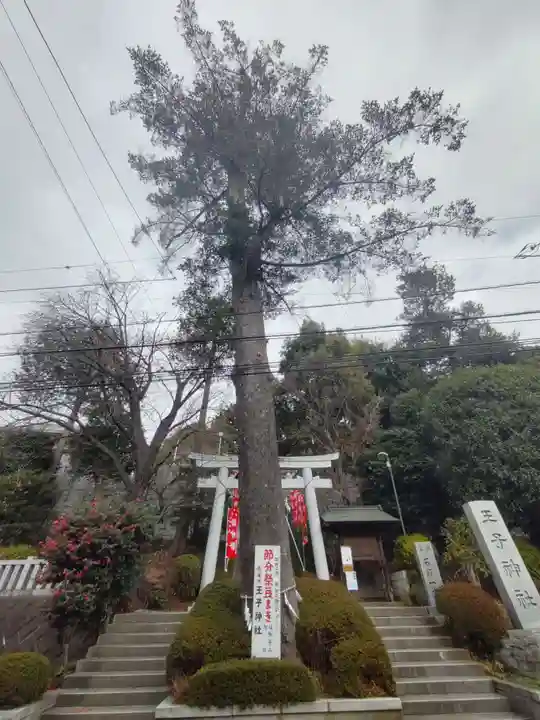 長津田王子神社の自然