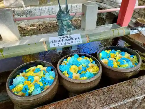 津島神社の手水舎