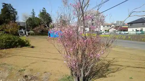 上川原日枝神社の景色