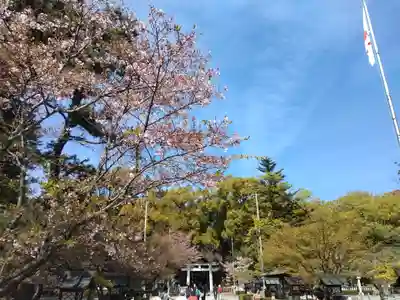 武田神社のその他建物